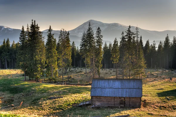 Casa velha nas montanhas perto de floresta espessa — Fotografia de Stock
