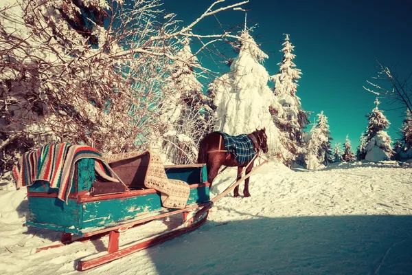 馬とウクライナのカルパチア山脈におけるそり ストック画像