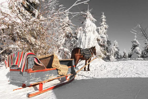 Paard en wagen in winter Karpaten Stockfoto