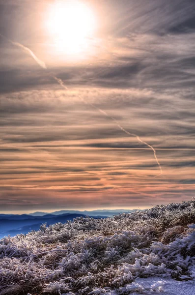 Erba di ghiaccio e cielo pittoresco.Hdr . — Foto Stock