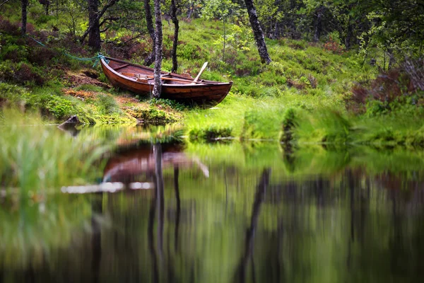ノルウェーの緑の森と湖の風景 — ストック写真