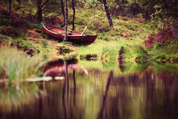 Lake landschap met groene bossen in Noorwegen — Stockfoto