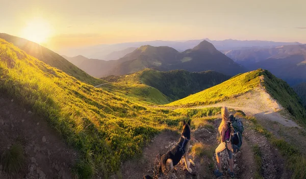 Dívka se psem a krásným západem slunce v Karpatských horách. Panorama. — Stock fotografie