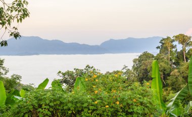 güzel yağmur ormanı dağ sisi göster.