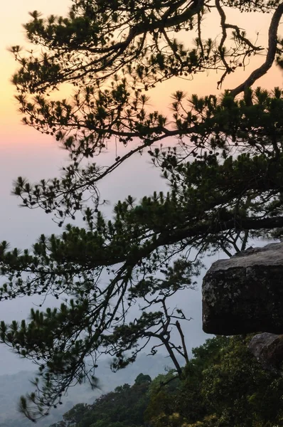 Sunset at Pha Lom Sak cliff in Phu Kradueng, Thailand. — Stock Photo, Image