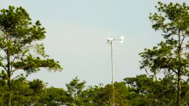 Weinig windturbine opwekking van elektriciteit in de natuur. — Stockvideo
