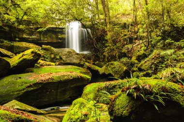 yosun kaplı kaya wallter yakınındaki rainsforest düşüş.