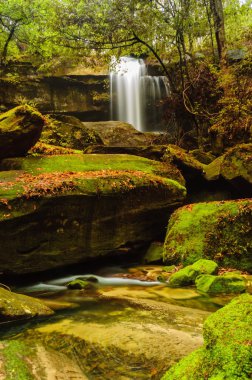 yosun kaplı kaya wallter yakınındaki rainsforest düşüş.