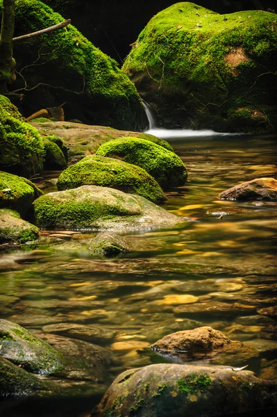 Rocce coperte di muschio vicino alla cascata nella foresta pluviale . — Foto Stock