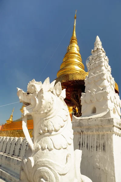 Valkoiset kivileijonat. Sijaitsee pagodin edessä . — kuvapankkivalokuva