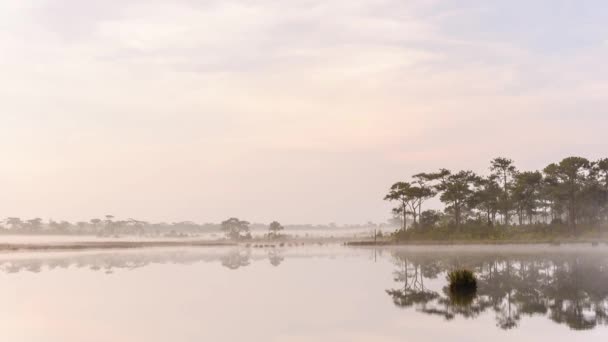 Morgondimma vid sjön i national park, thailand. — Stockvideo