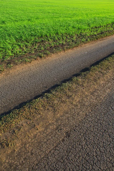 Carretera — Foto de Stock