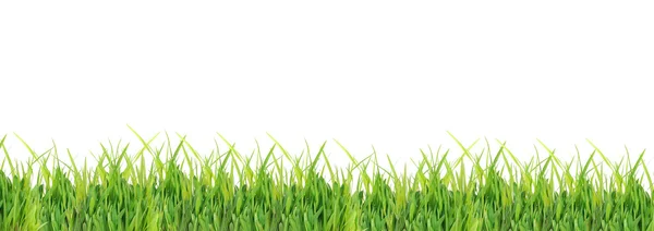 Green grass — Stock Photo, Image