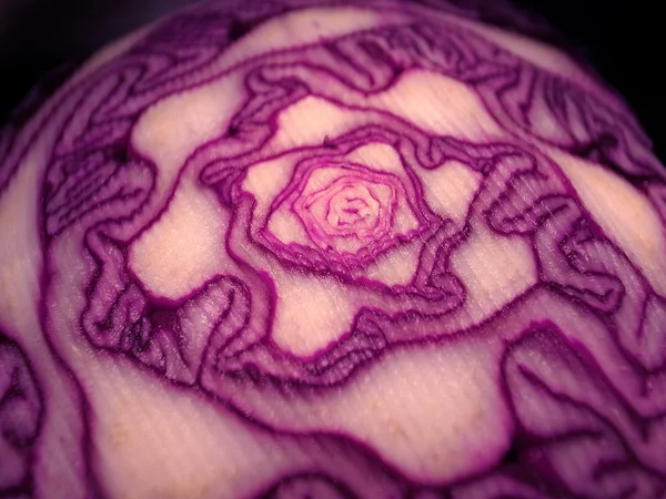 Cabbage — Stock Photo, Image