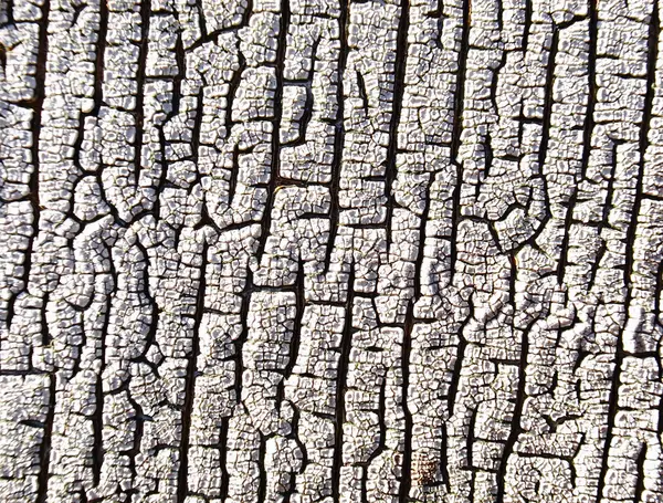 Texture — Stock Photo, Image