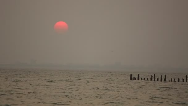 Hermosa puesta de sol en la playa — Vídeo de stock