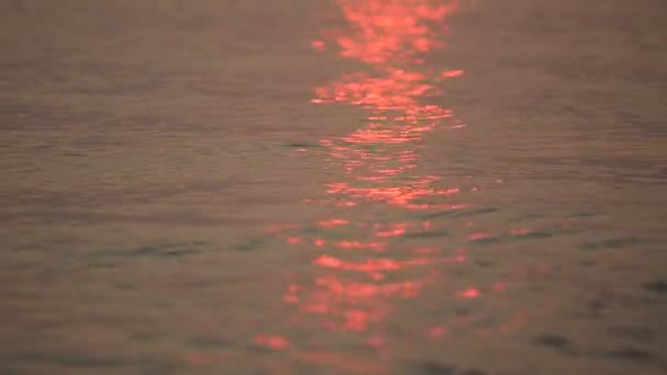 Gondolatok a tengerparton naplementekor — Stock videók