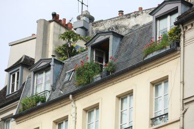 bir balkon büyüyen ağacı