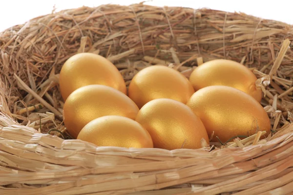 Golden hen's eggs in the grassy nest — Stock Photo, Image