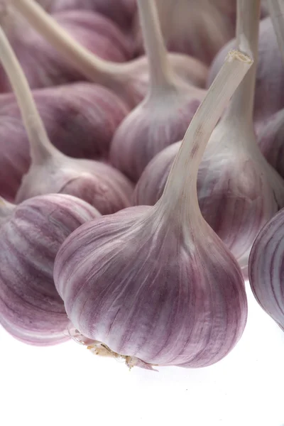 Garlic — Stock Photo, Image