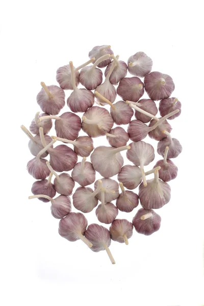 Knoblauch — Stockfoto