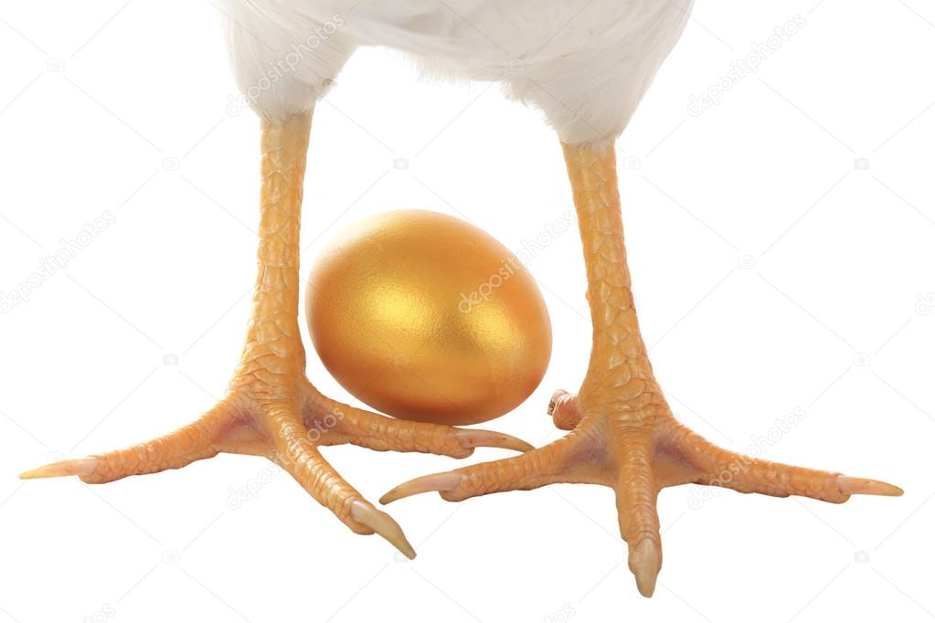 Hen legs with eggs