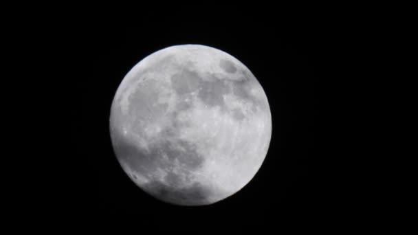 Flytta Stora Vita Månen Med Kratrar Mot Svart Himmel Naturligt — Stockvideo