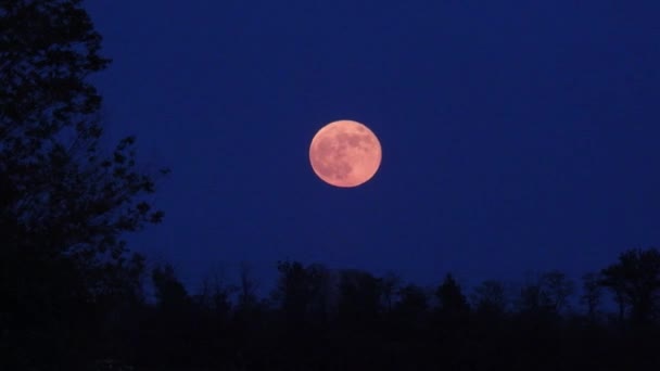 Moving Red Moon Blue Sky Natural Sound — Stock Video