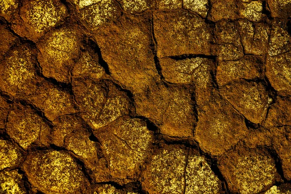 Textura Dos Tons Amarelos Terra — Fotografia de Stock