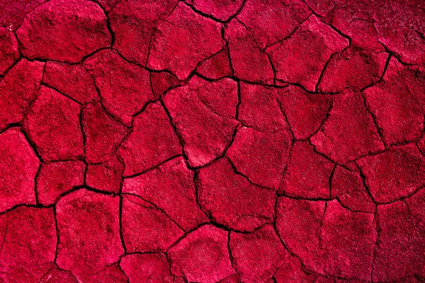 Red Texture Your Design — Stock Photo, Image