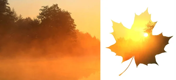 Mattina Presto Sul Fiume All Interno Una Foglia Acero — Foto Stock