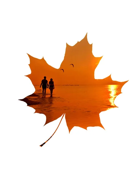 Deniz Kenarında Aşık Bir Çift Doğan Güneşe Karşı Martılar — Stok fotoğraf
