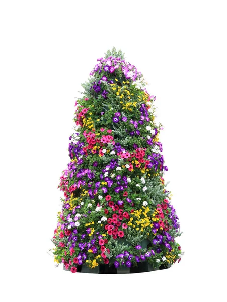 Konstgjorda Träd Från Petunia Blommor Isolerad Vit Bakgrund — Stockfoto