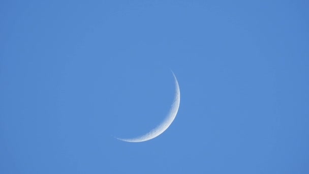 Young Moon Moves Blue Sky — Stock Video