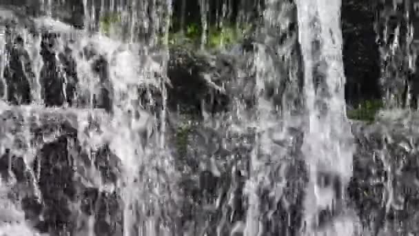Vodopád Voda Padá Kameny Ptačí Píseň Přirozený Zvuk — Stock video