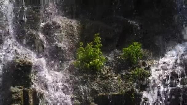 Air Mengalir Turun Dari Batu Dengan Latar Belakang Hutan Hijau — Stok Video