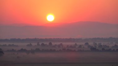 sun rises over the mountains. morning fog spreads over the land and trees.