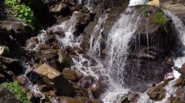 slowly falling water beats against rocks. green plants, grass grow on stones. mountain river waterfall. slow motion