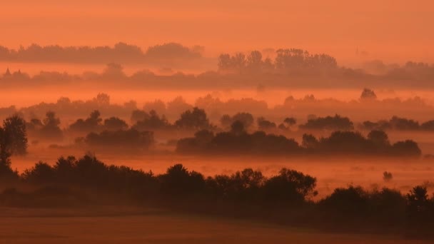oranžový východ slunce. ranní mlha pokrývala vesnici, přírodu, stromy