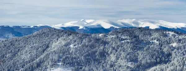 Synevyr Rezervi Ukrayna Nın Karpat Dağlarının Karla Kaplı Zirveleri — Stok fotoğraf
