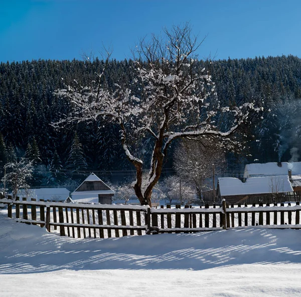 Schneebedeckter Baum Der Winter Über Seinem Wald Dorf Steht — Stockfoto
