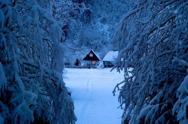 Közeleg Öreg Ház Hófödte Erdő Hátterében — Stock Fotó