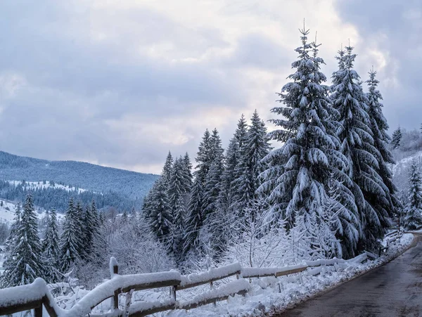 Droga Prowadząca Gór Śnieżnym Lesie — Zdjęcie stockowe