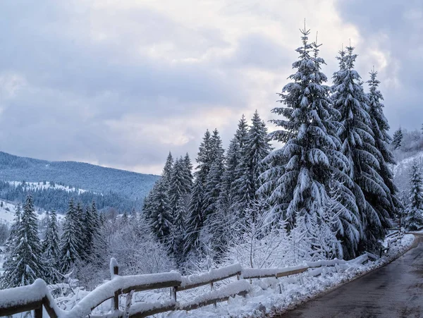 雪の森の中の山へと続く道は — ストック写真