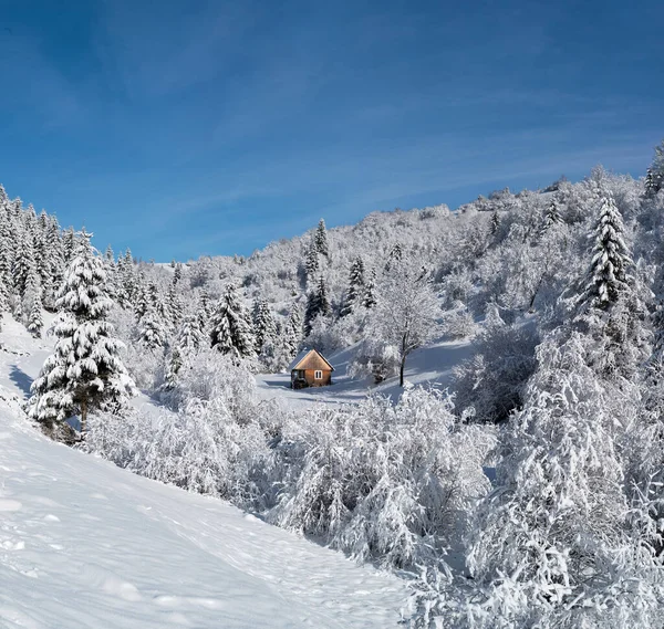 Hóval Borított Ház Áll Erdőben Oldalán Egy Hegy — Stock Fotó