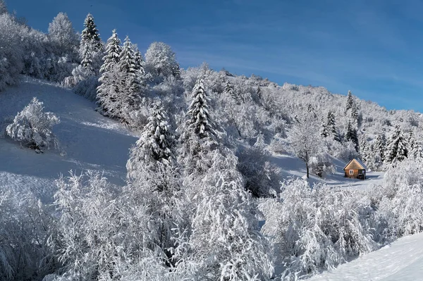Verschneites Haus Das Wald Hang Eines Berges Steht — Stockfoto