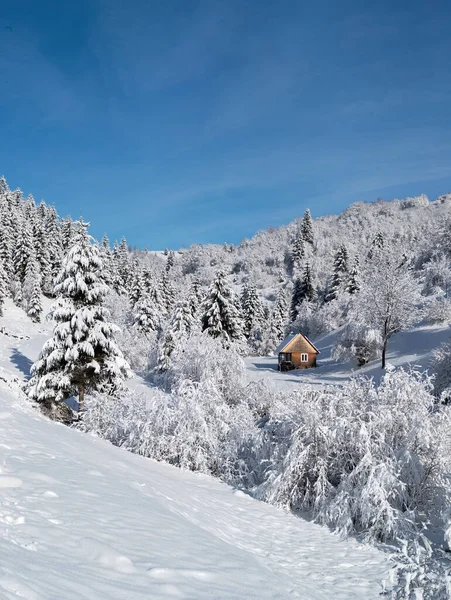 Hóval Borított Ház Áll Erdőben Oldalán Egy Hegy — Stock Fotó