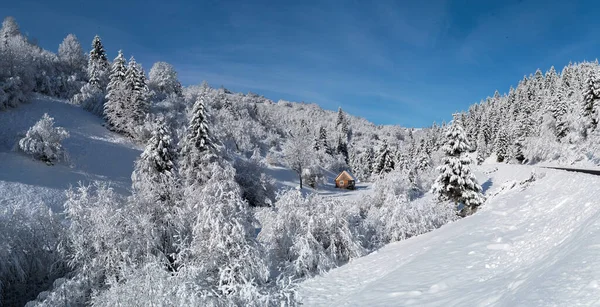 Verschneites Haus Das Wald Hang Eines Berges Steht — Stockfoto