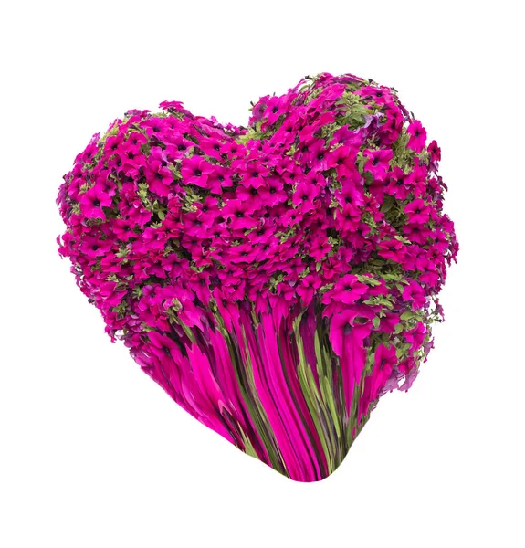 Petúnie Květiny Podobě Srdce Izolované Bílém Pozadí — Stock fotografie