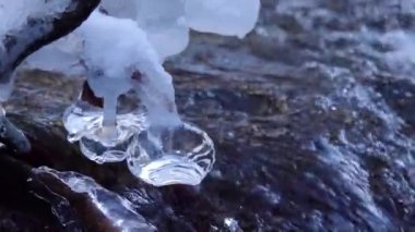 Ağır çekim. Kış. Suyun üzerinde buzla kaplı ağaç dalları asılı. dağ deresi